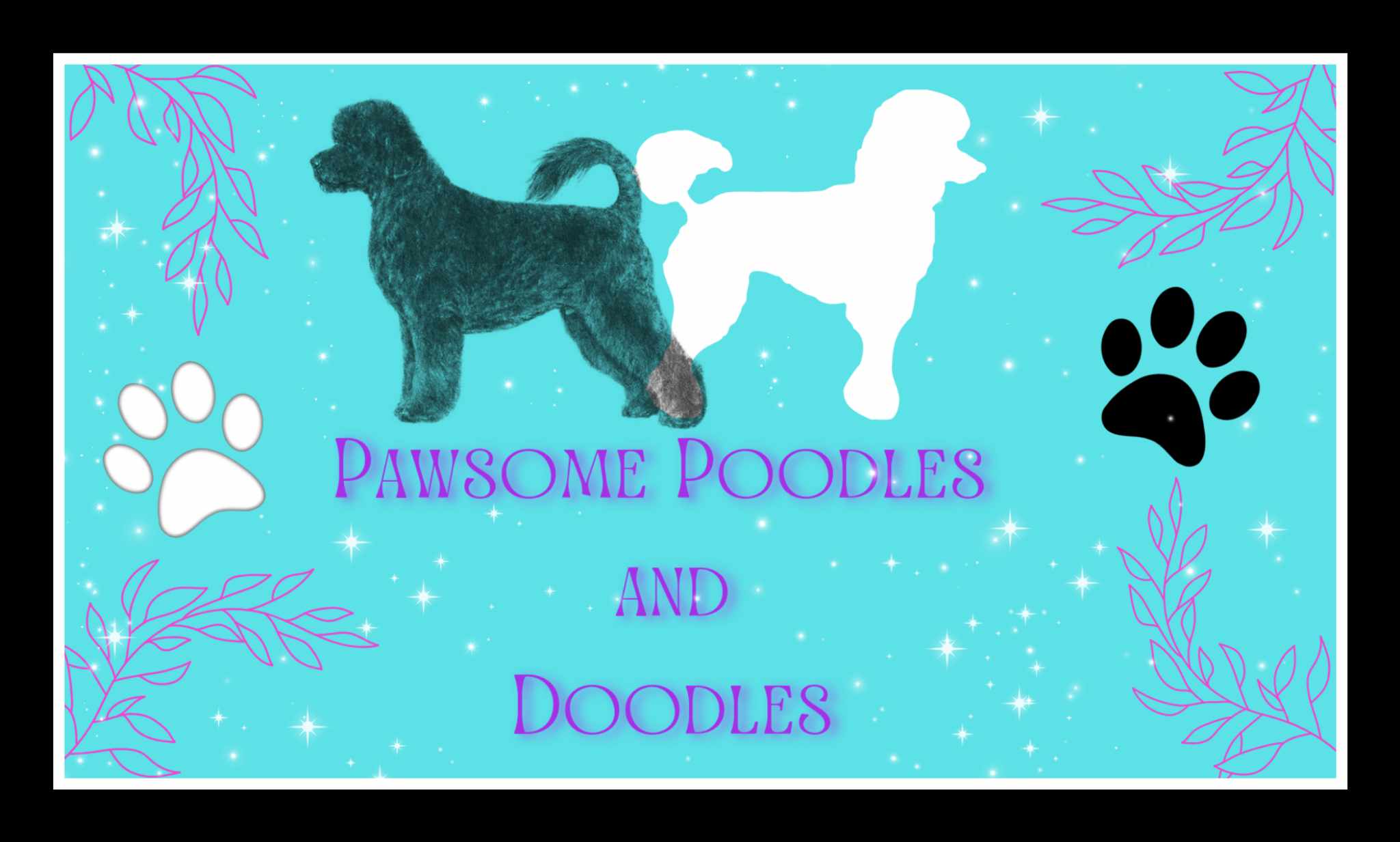 Pawsome Poodles and Doodles